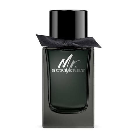 profumo mr burberry uomo ml 100|burberry fragrance for men.